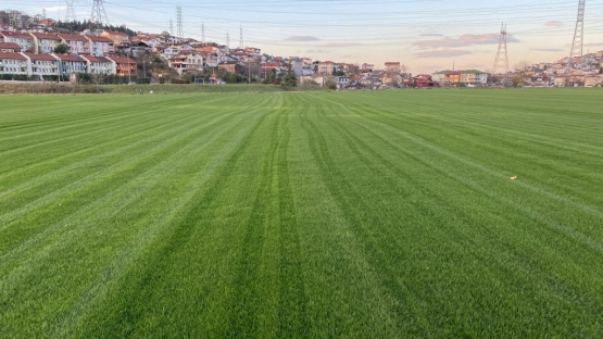 Sakarya Beşköprü