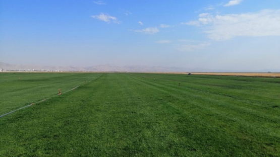 Mardin Kızıltepe